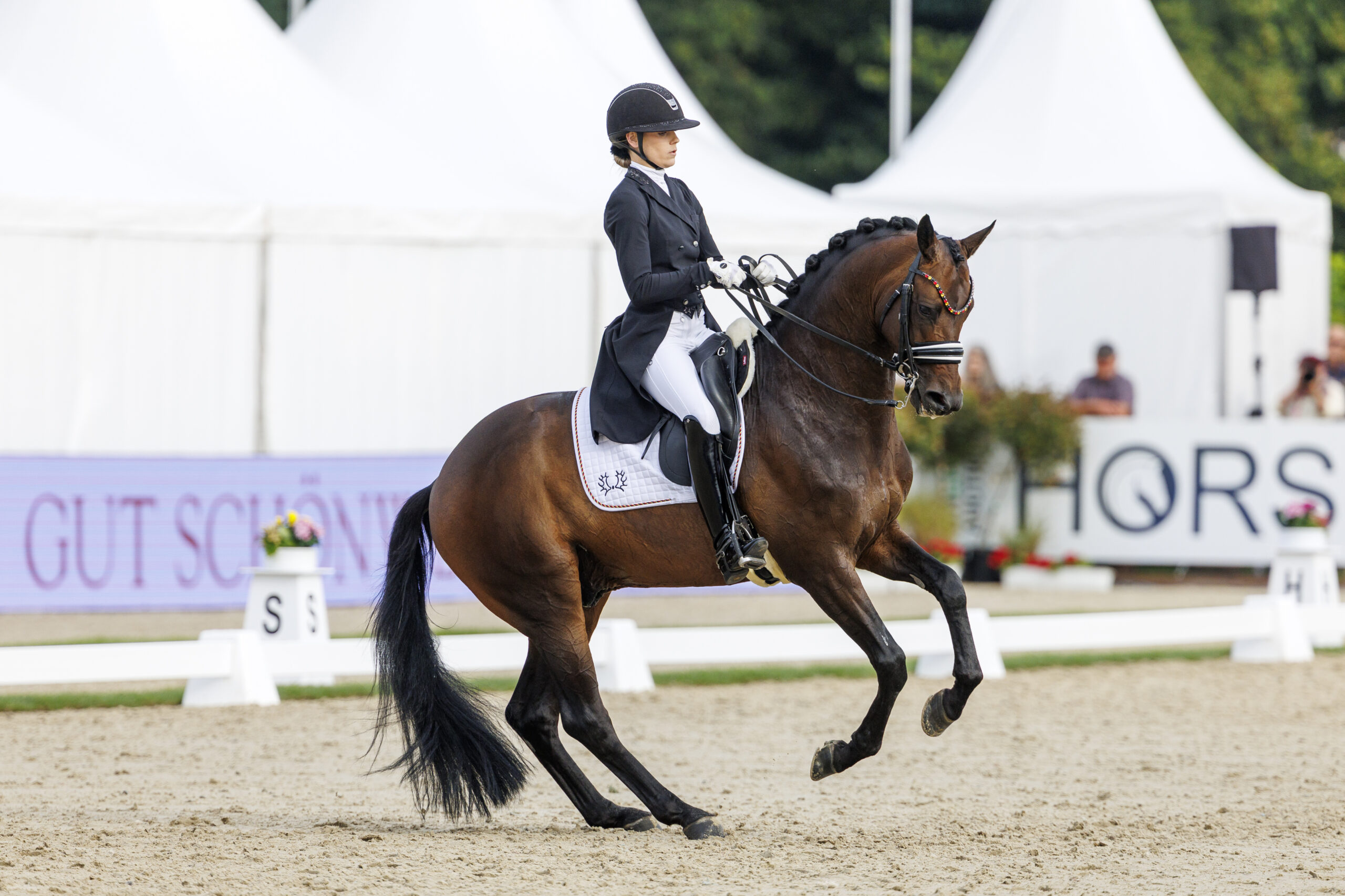 VERDEN - World Breeding Dressage Championsships for Young Horses 2025