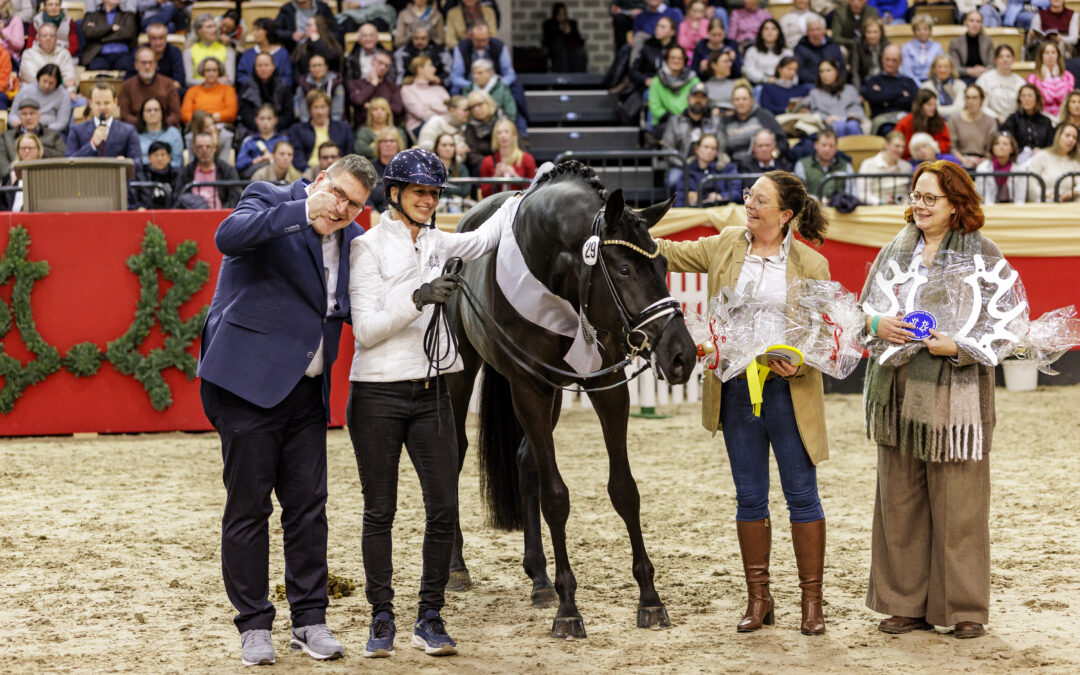 Hannu Haakon wird 2. Reservesieger auf der Trakehner Körung in Neumünster