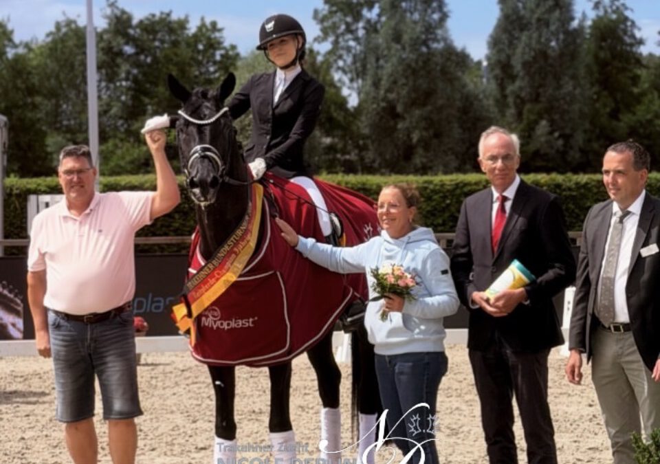 Internationales Trakehner Bundesturnier: Glanzvolle Auftritte – allen voran unser Prämienhengst Hannu Haakon ND