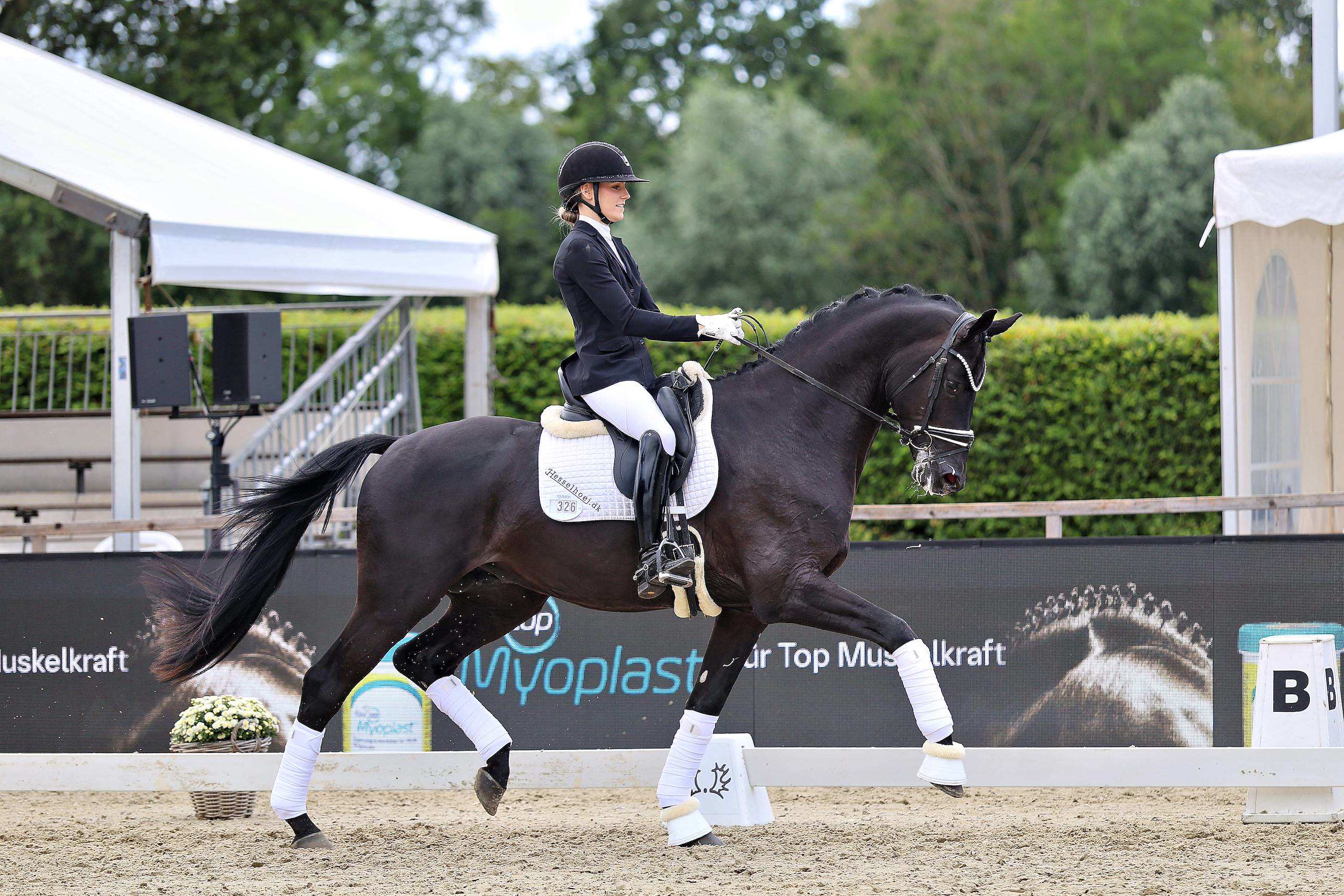 Hannu RPFCH2026